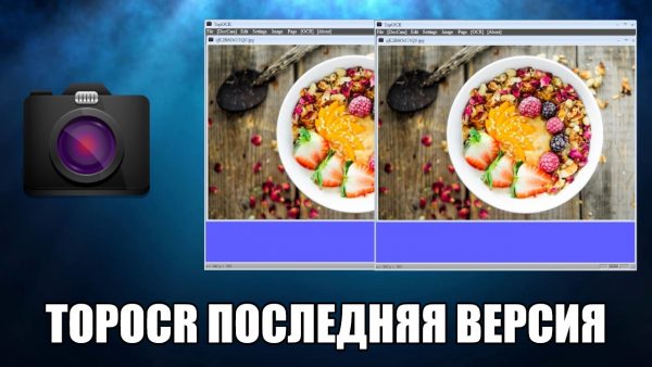 Обзор программы TopOCR на русском языке