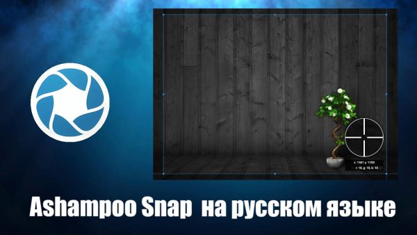 Обзор программы Ashampoo Snap на русском языке