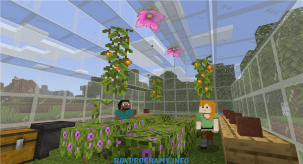 Minecraft Education Edition отзывы учителей и школ