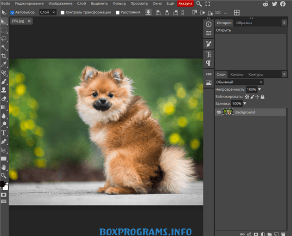 Обзор программы Photopea на русском языке