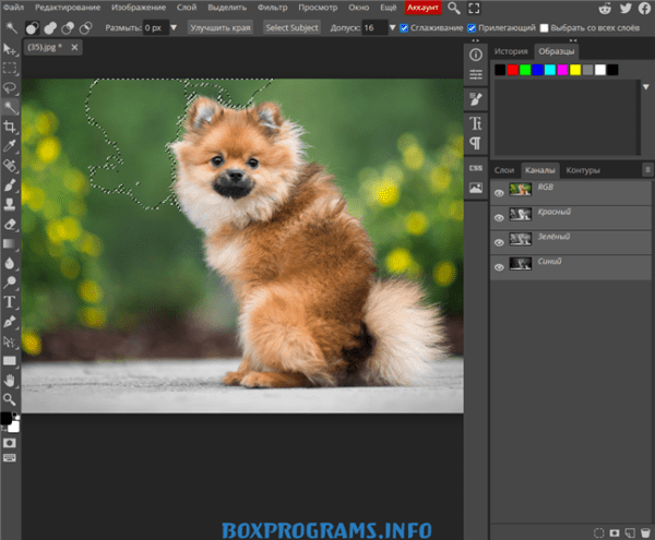 Photopea для Windows