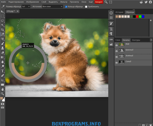 Photopea новая версия